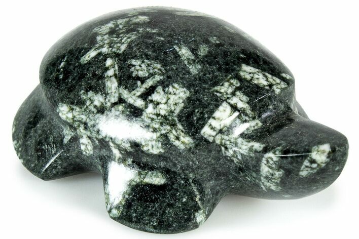 Carved Chinese Writing Rock Turtle - Australia #308500